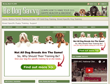 Tablet Screenshot of bedogsavvy.com